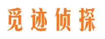 大化外遇出轨调查取证